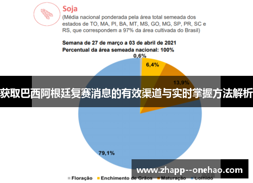 获取巴西阿根廷复赛消息的有效渠道与实时掌握方法解析