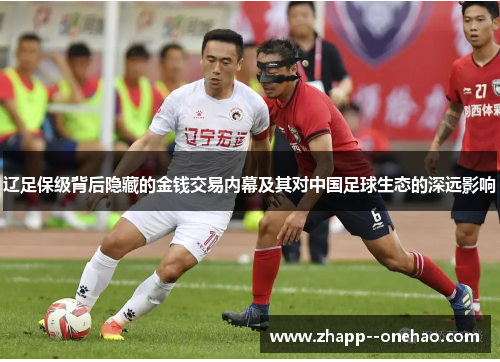 辽足保级背后隐藏的金钱交易内幕及其对中国足球生态的深远影响